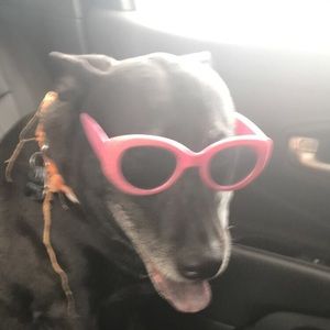 Meet your Posher, Lorre